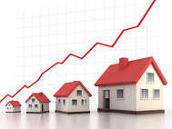 Real Estate Trend